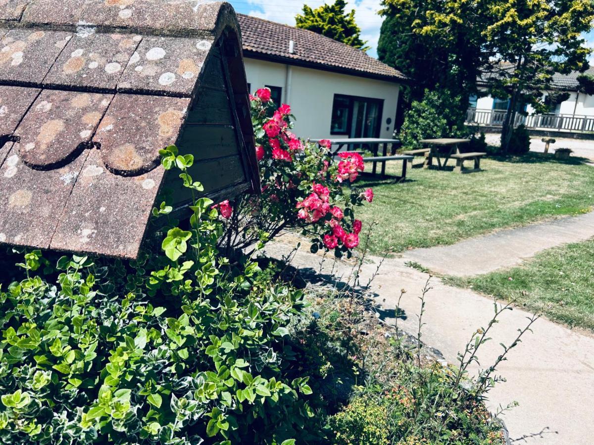 Kinetic Stays - Serenity Holiday Cottages Sidmouth Exterior foto